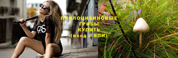 эйфоретик Алексин