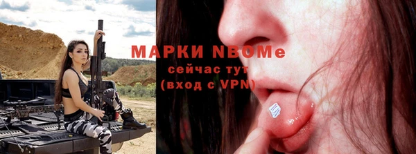 хмурый Аркадак