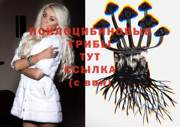 a pvp Алзамай
