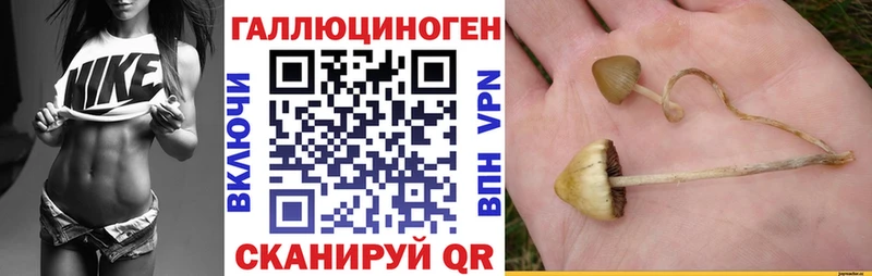 Псилоцибиновые грибы Magic Shrooms  Данков 